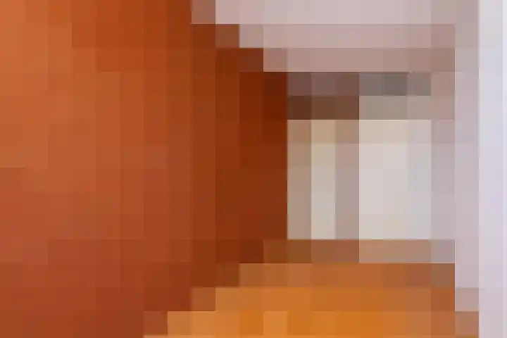 Breeuwer 1 Hoorn thumbnail 17