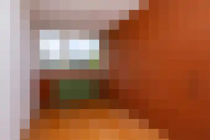 Breeuwer 1 Hoorn thumbnail 27