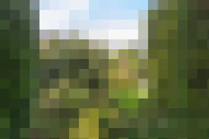 Breeuwer 1 Hoorn thumbnail 33