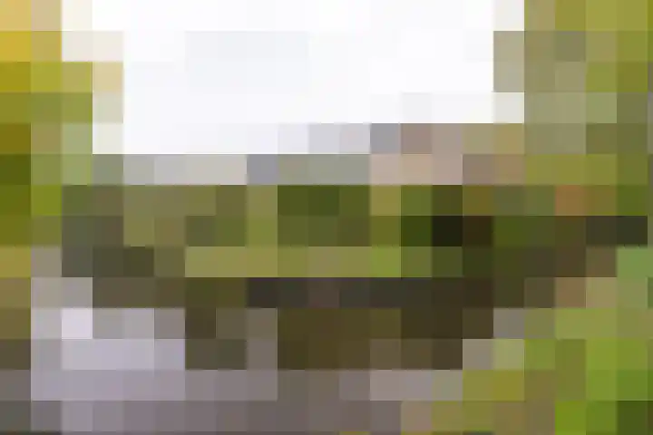 Breeuwer 1 Hoorn thumbnail 34