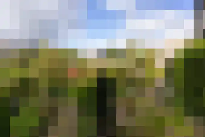 Breeuwer 1 Hoorn thumbnail 35