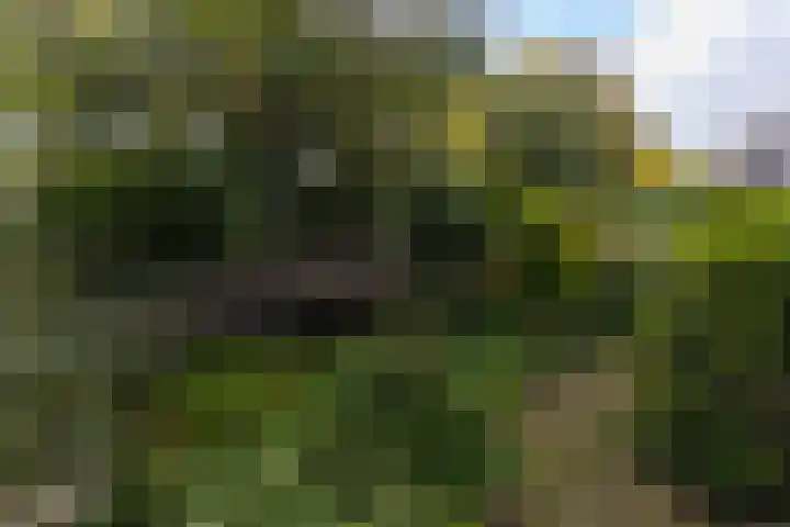 Breeuwer 1 Hoorn thumbnail 37