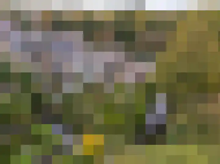 Breeuwer 1 Hoorn thumbnail 39