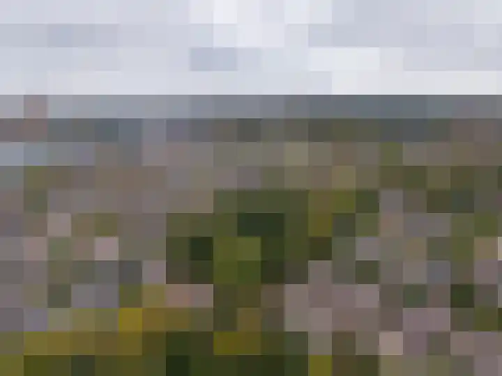 Breeuwer 1 Hoorn thumbnail 40