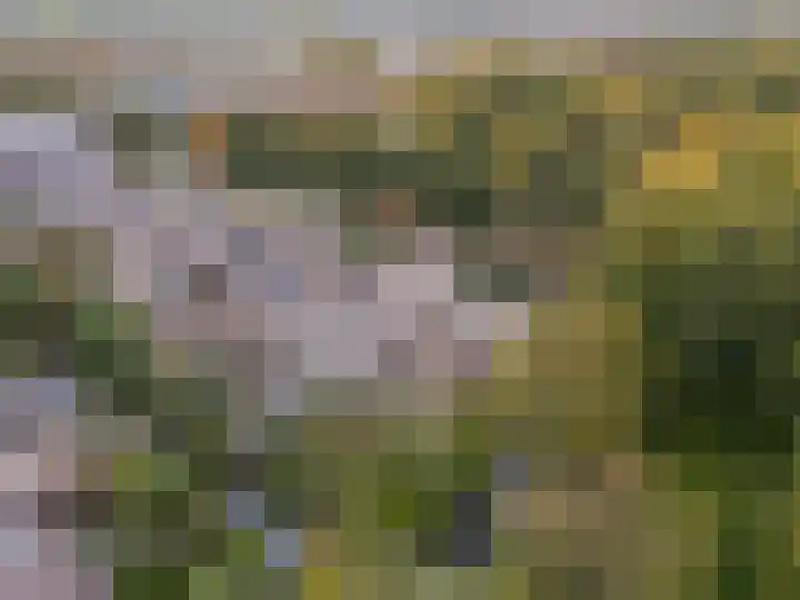 Breeuwer 1 Hoorn thumbnail 42