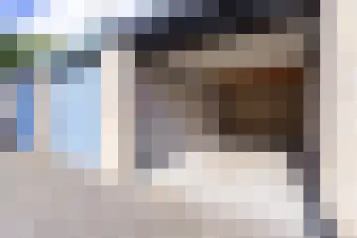 Breeuwer 1 Hoorn thumbnail 43