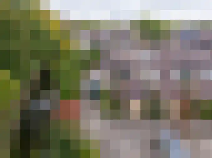 Breeuwer 1 Hoorn thumbnail 5