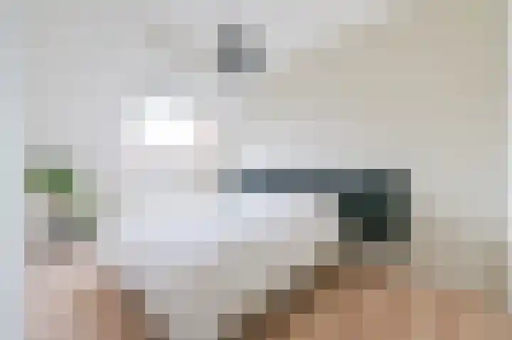 Breeuwer 10 Zeewolde thumbnail 20
