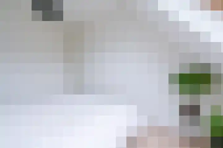 Breeuwer 10 Zeewolde thumbnail 21