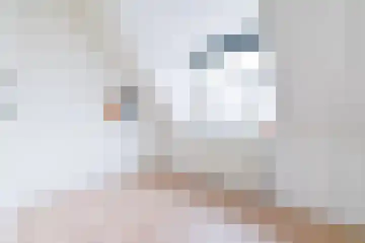 Breeuwer 10 Zeewolde thumbnail 22
