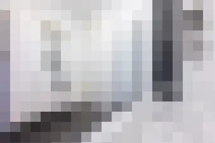 Breeuwer 10 Zeewolde thumbnail 26