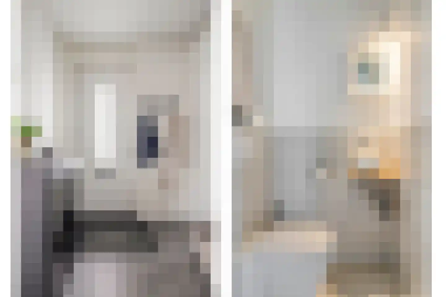 Breeuwer 2 Zeewolde thumbnail 13