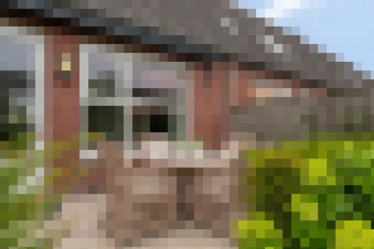 Breeuwer 2 Zeewolde thumbnail 21