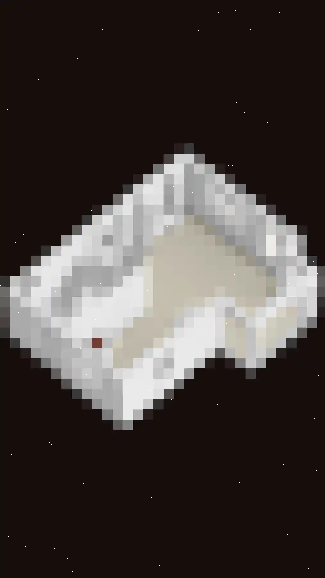 Breeuwer 2 Zeewolde thumbnail 33