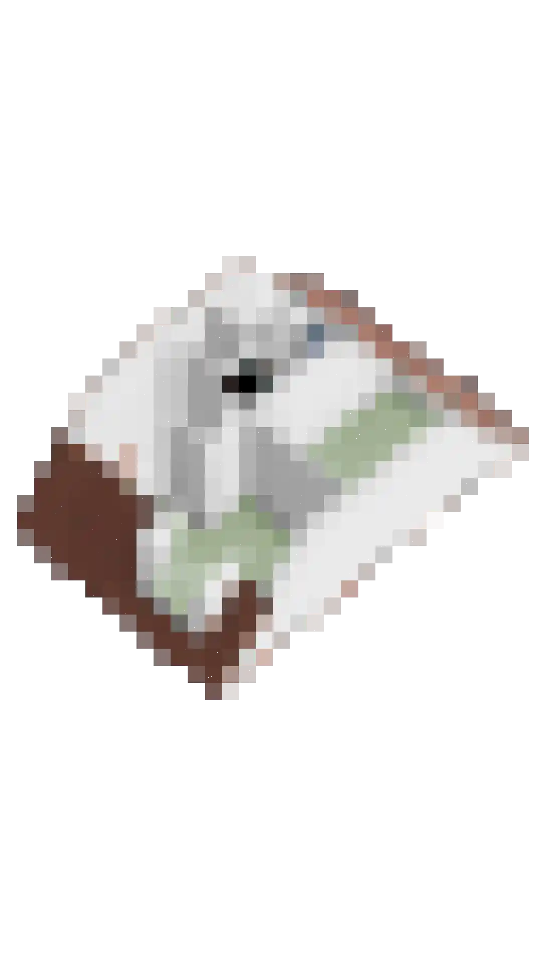 Breeuwer 2 Zeewolde thumbnail 35