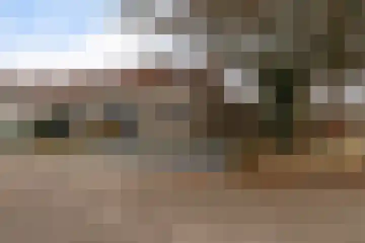 Breeuwer 23 Sappemeer