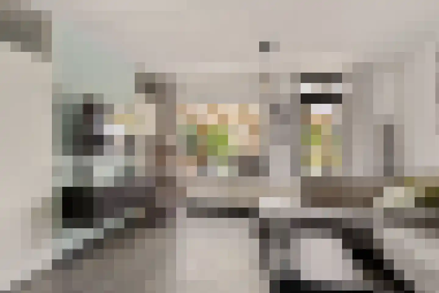 Breeuwer 23 Sappemeer thumbnail 17