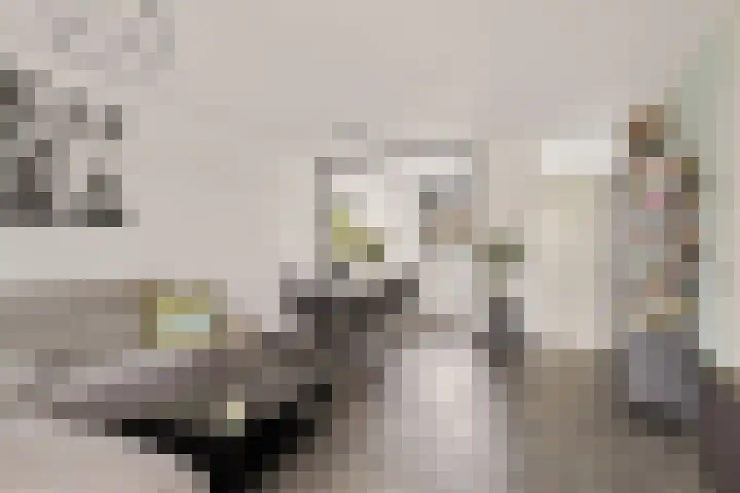 Breeuwer 23 Sappemeer thumbnail 18