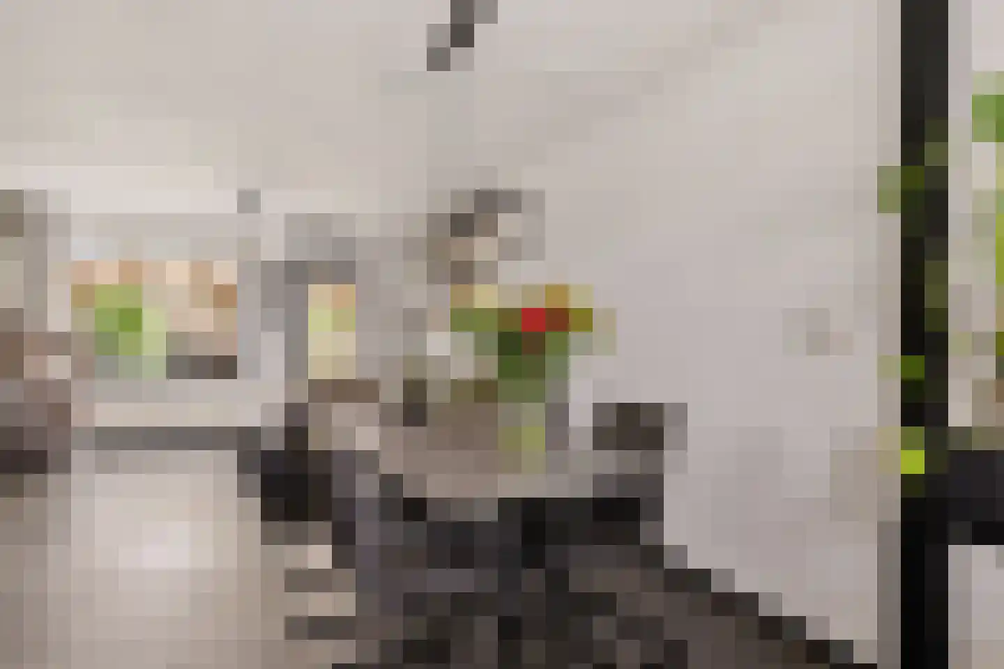Breeuwer 23 Sappemeer thumbnail 20
