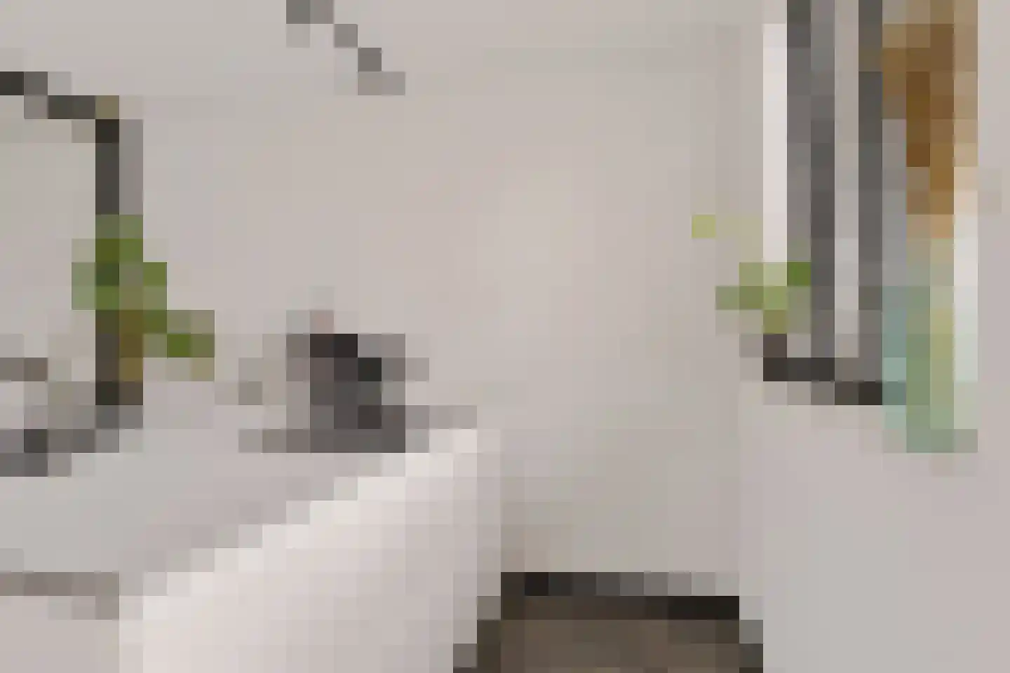 Breeuwer 23 Sappemeer thumbnail 22