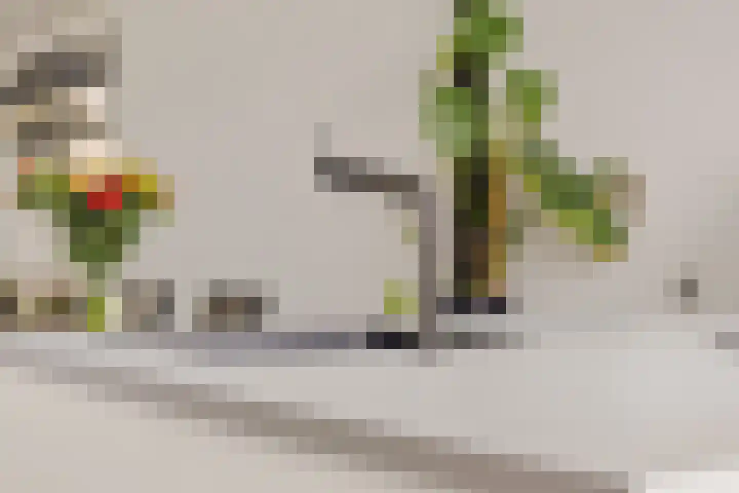 Breeuwer 23 Sappemeer thumbnail 24