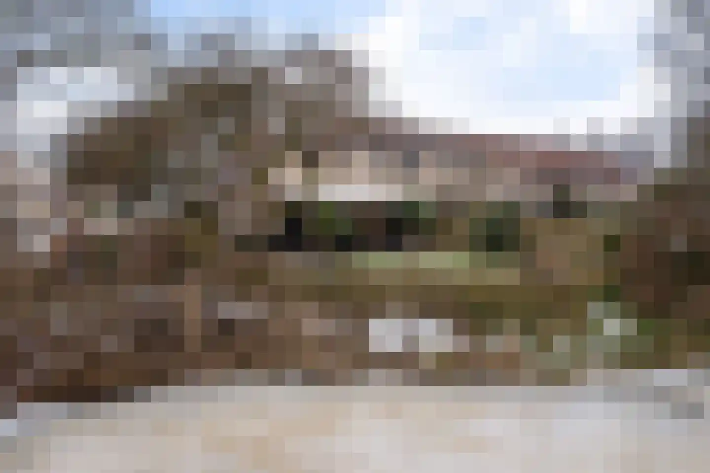 Breeuwer 23 Sappemeer thumbnail 44