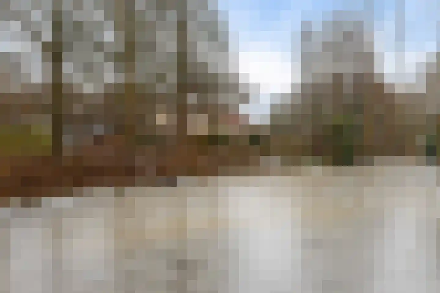 Breeuwer 23 Sappemeer thumbnail 46