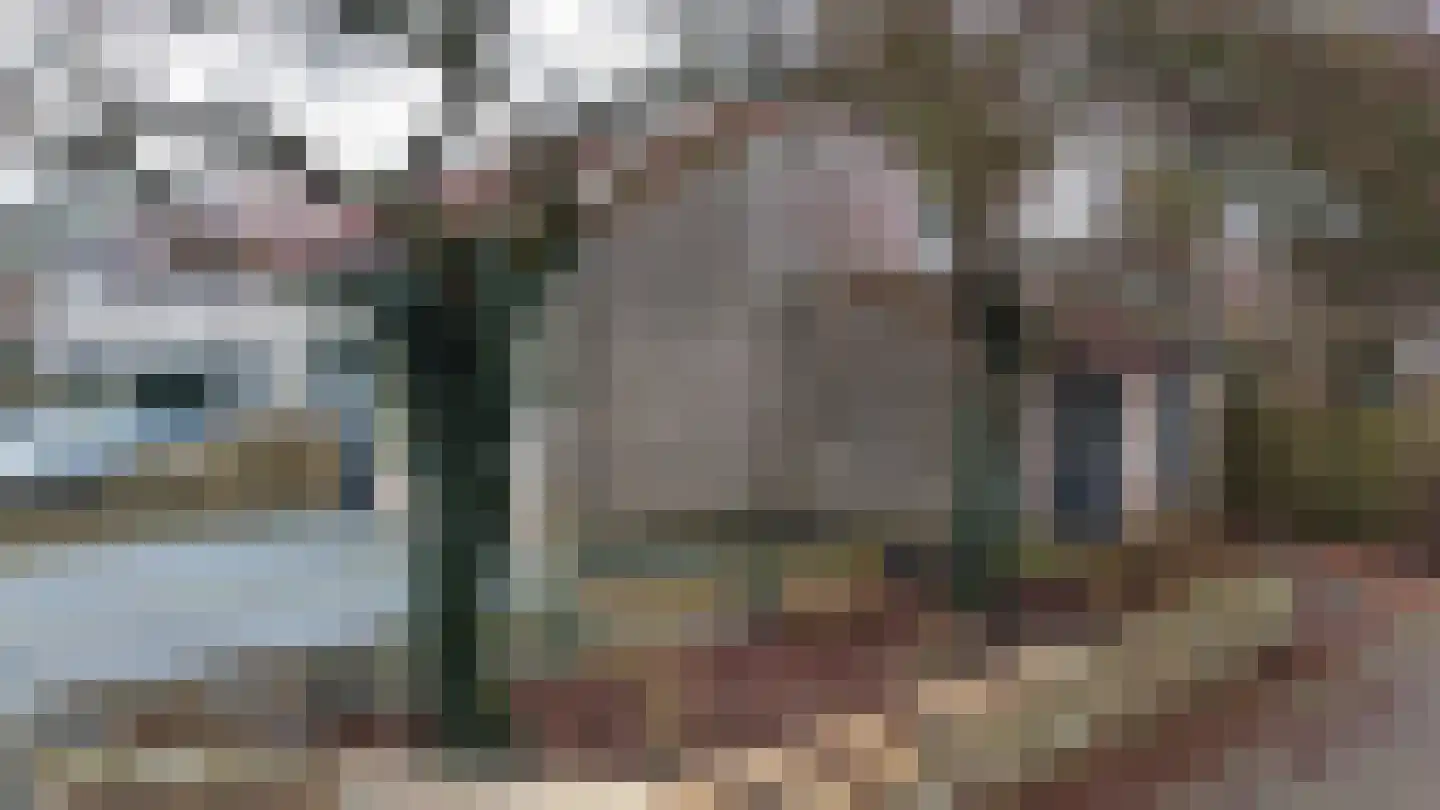 Breeuwer 23 Sappemeer thumbnail 48