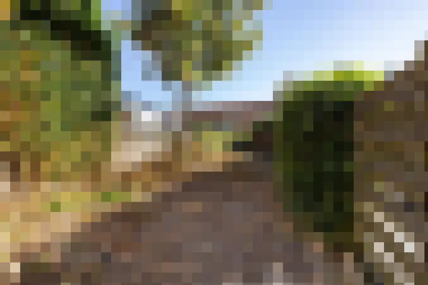 Breeuwer 29 Sappemeer thumbnail 12