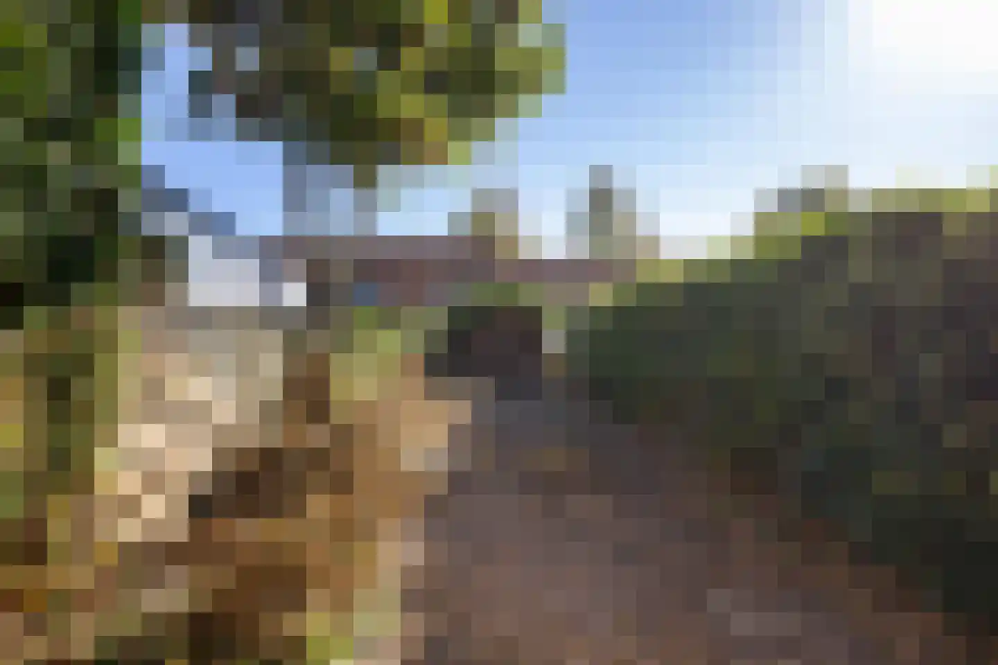 Breeuwer 29 Sappemeer thumbnail 13