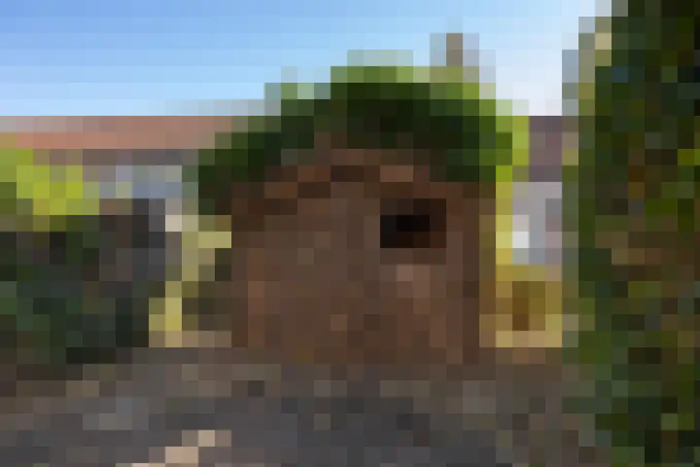 Breeuwer 29 Sappemeer thumbnail 14