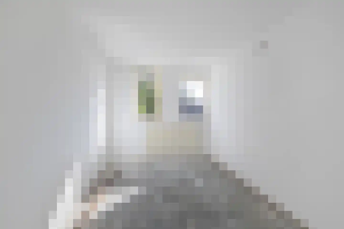 Breeuwer 29 Sappemeer thumbnail 19