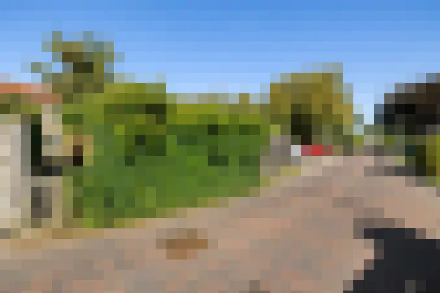 Breeuwer 29 Sappemeer thumbnail 24