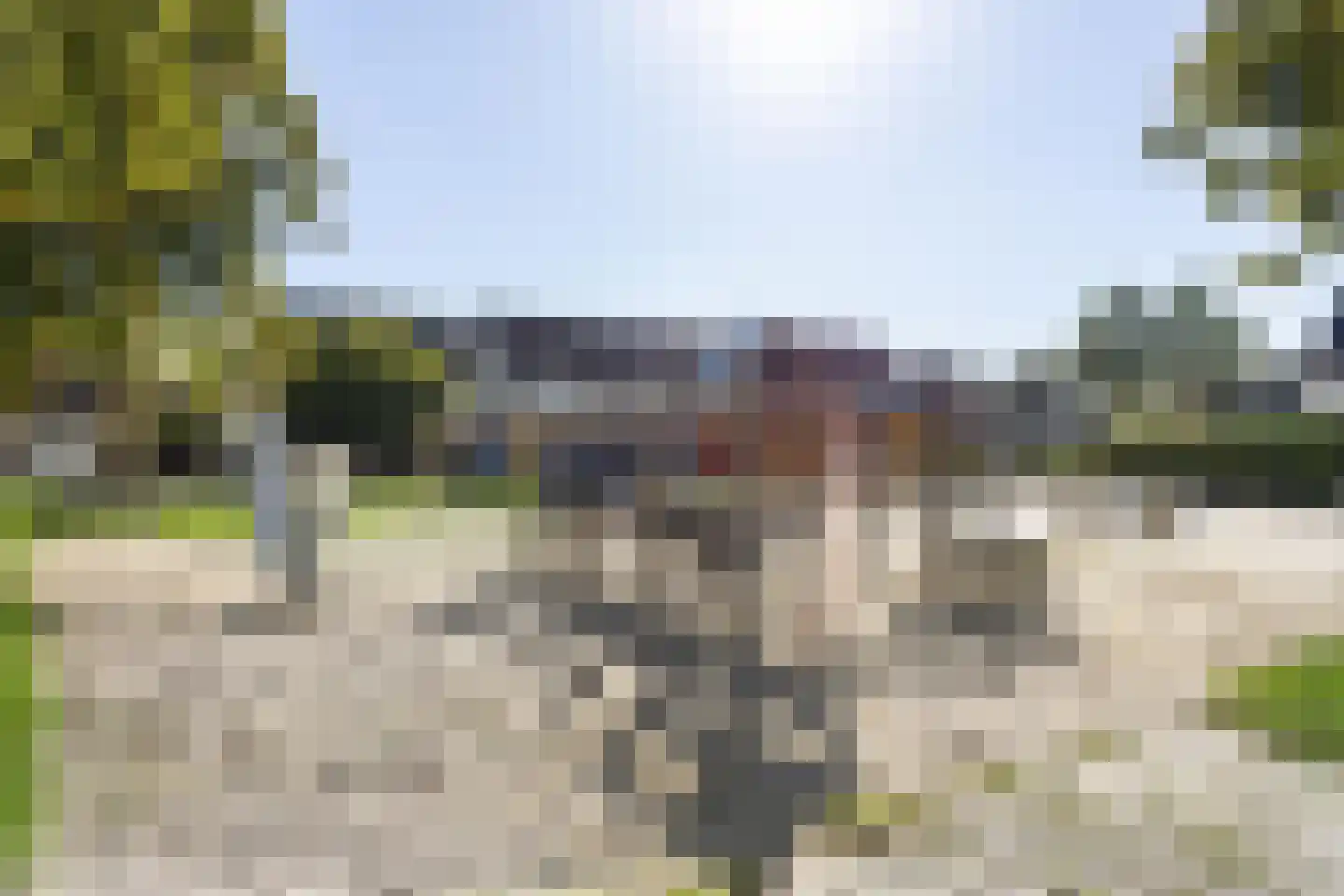 Breeuwer 29 Sappemeer thumbnail 25