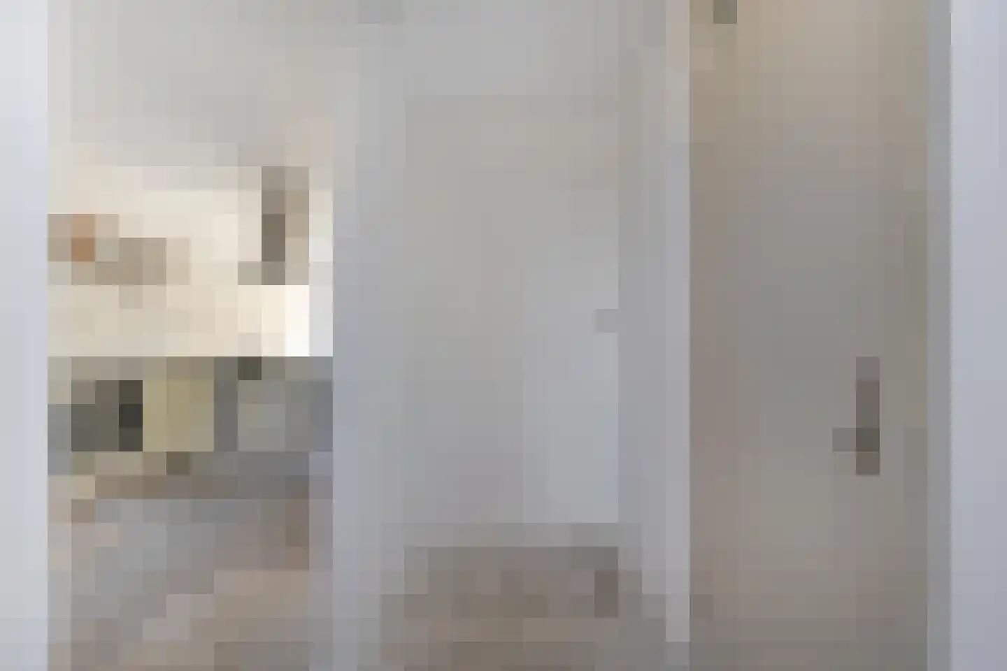Breeuwer 29 Sappemeer thumbnail 4