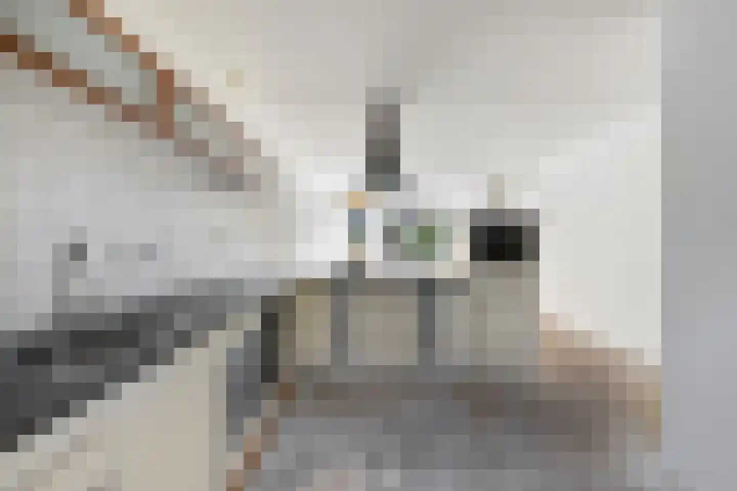Breeuwer 29 Sappemeer thumbnail 7