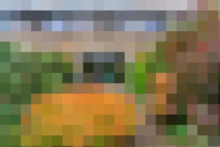 Breeuwer 31 Hoorn thumbnail 20