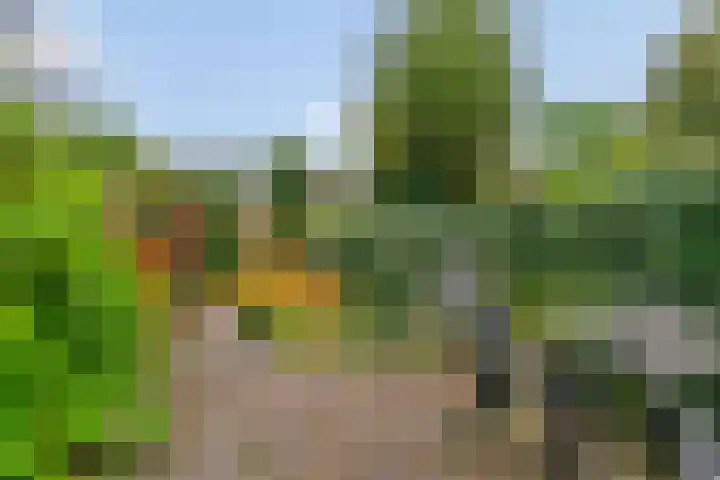 Breeuwer 31 Hoorn thumbnail 21