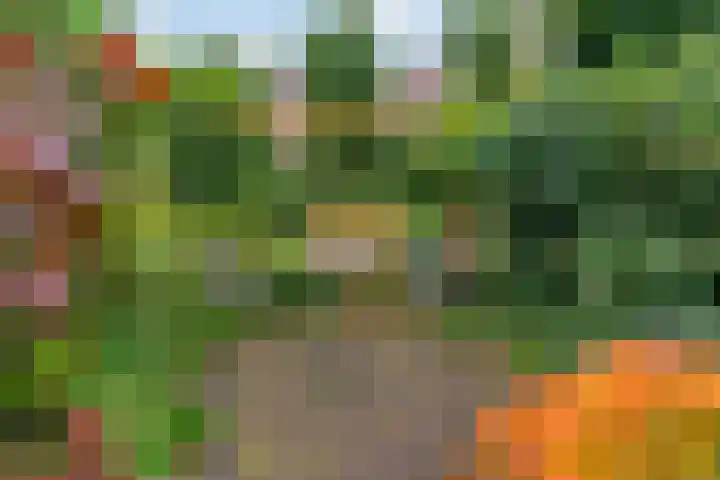 Breeuwer 31 Hoorn thumbnail 23