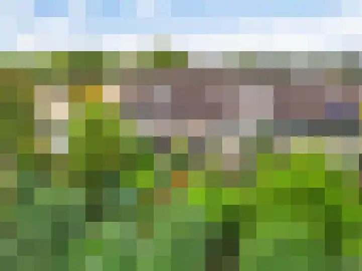 Breeuwer 31 Hoorn thumbnail 27
