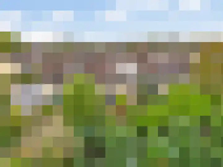 Breeuwer 31 Hoorn thumbnail 28
