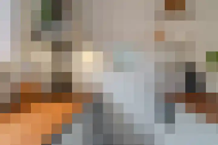 Breeuwer 31 Sappemeer thumbnail 10