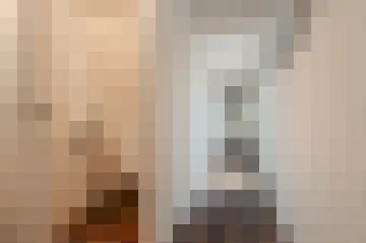Breeuwer 31 Sappemeer thumbnail 13