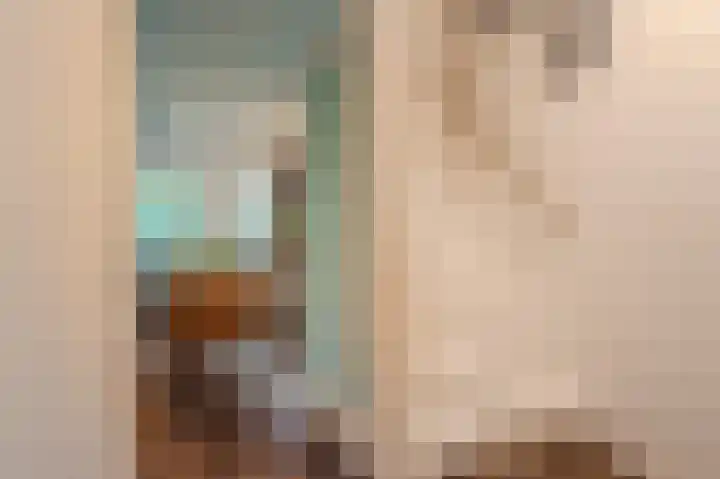 Breeuwer 31 Sappemeer thumbnail 17