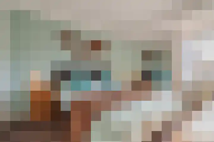 Breeuwer 31 Sappemeer thumbnail 18
