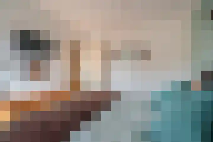 Breeuwer 31 Sappemeer thumbnail 19