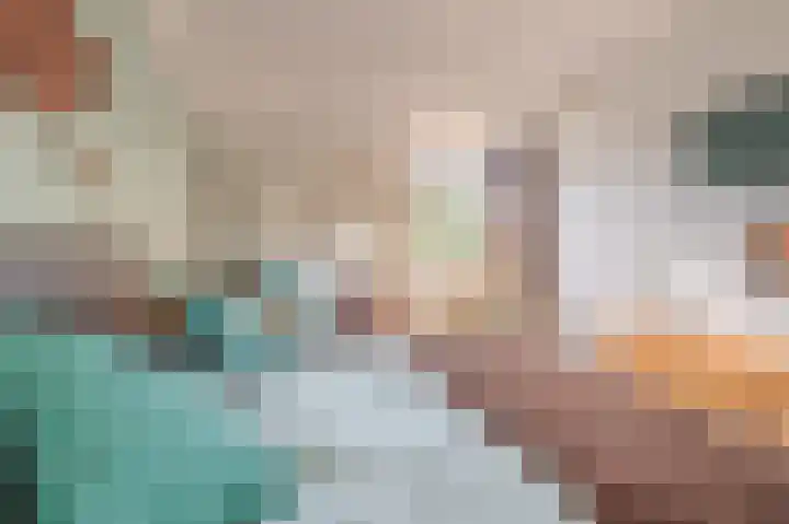 Breeuwer 31 Sappemeer thumbnail 20