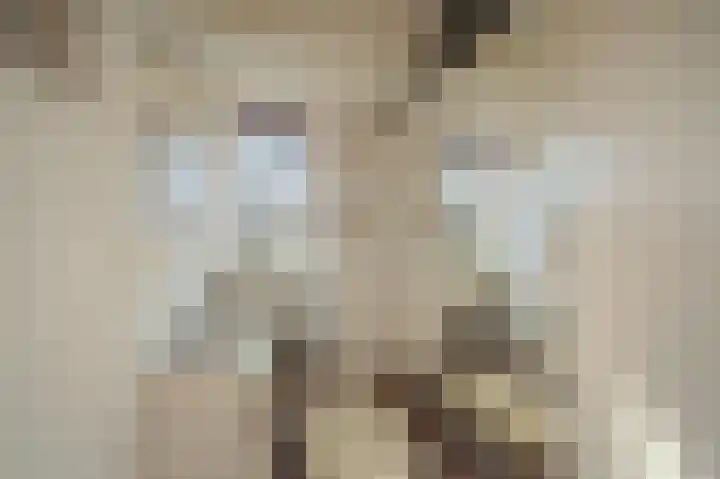 Breeuwer 31 Sappemeer thumbnail 21