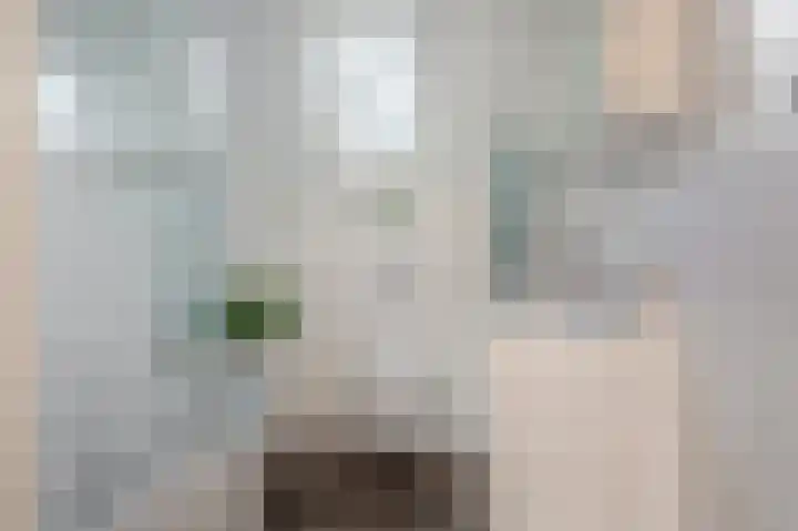 Breeuwer 31 Sappemeer thumbnail 24