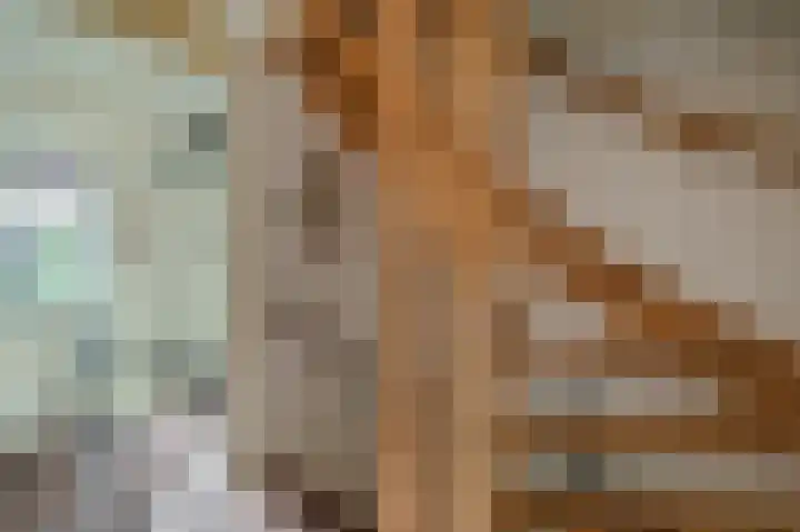 Breeuwer 31 Sappemeer thumbnail 26